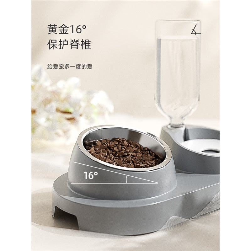Cat Double Pet Bowl & Automatic Water Dispenser