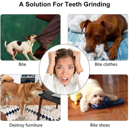 Interactive Treat & Dental Chew Ball
