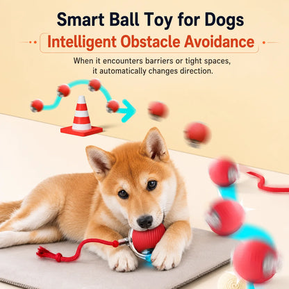 Synnyo – Smart Interactive Rolling Ball