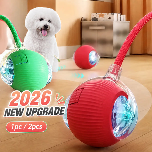 Synnyo – Smart Interactive Rolling Ball