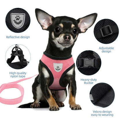 Breathable Reflective Harness & Leash Set