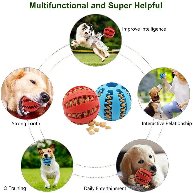 Interactive Treat & Dental Chew Ball