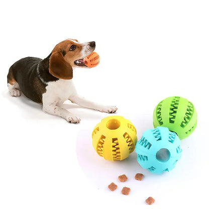 Interactive Treat & Dental Chew Ball