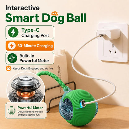 Synnyo – Smart Interactive Rolling Ball