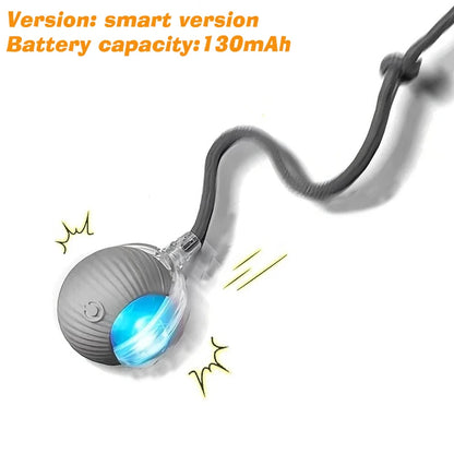 Synnyo – Smart Interactive Rolling Ball