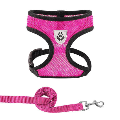 Breathable Reflective Harness & Leash Set