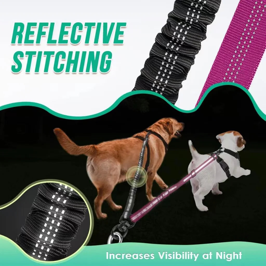 Dual Dog Leash Attachment – Adjustable & Shock Absorbing