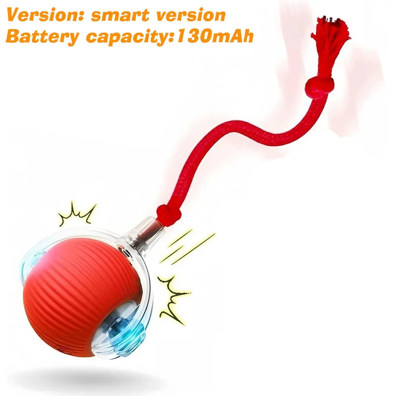 Synnyo – Smart Interactive Rolling Ball