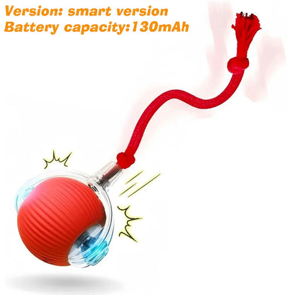 Synnyo – Smart Interactive Rolling Ball