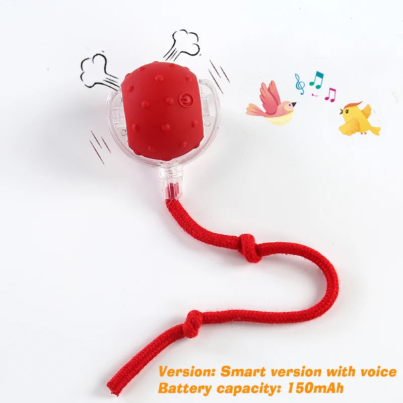 Synnyo – Smart Interactive Rolling Ball