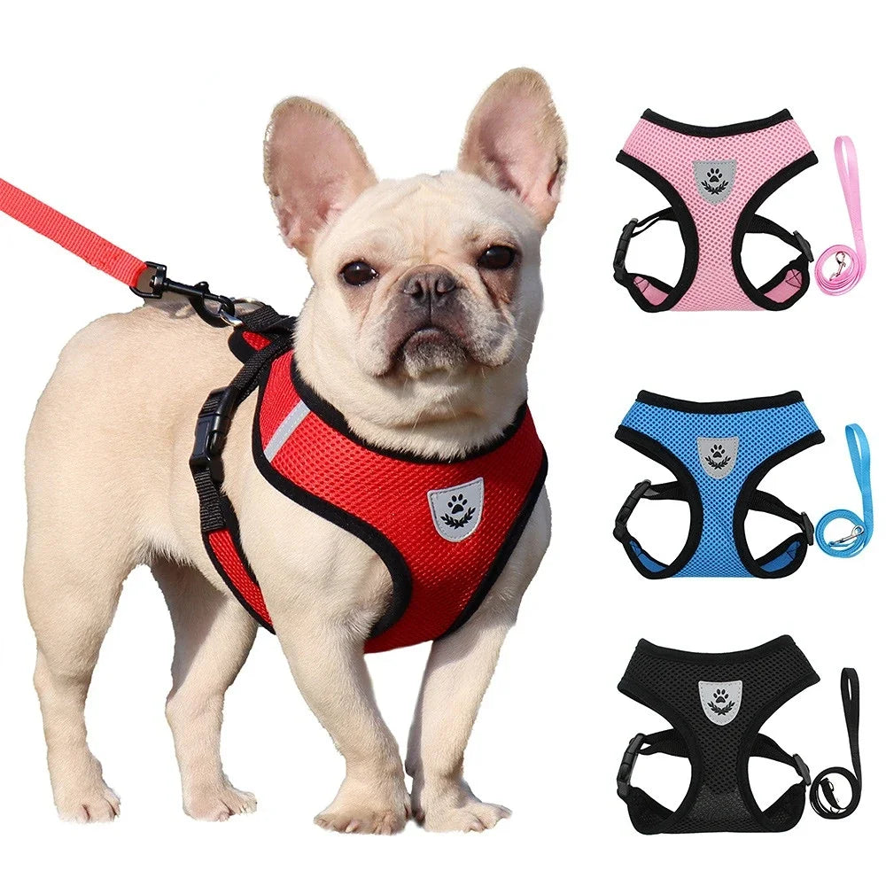 Breathable Reflective Harness & Leash Set