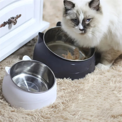 Elevated Inclined Cat Food & Water Bowl