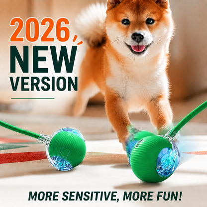 Synnyo – Smart Interactive Rolling Ball