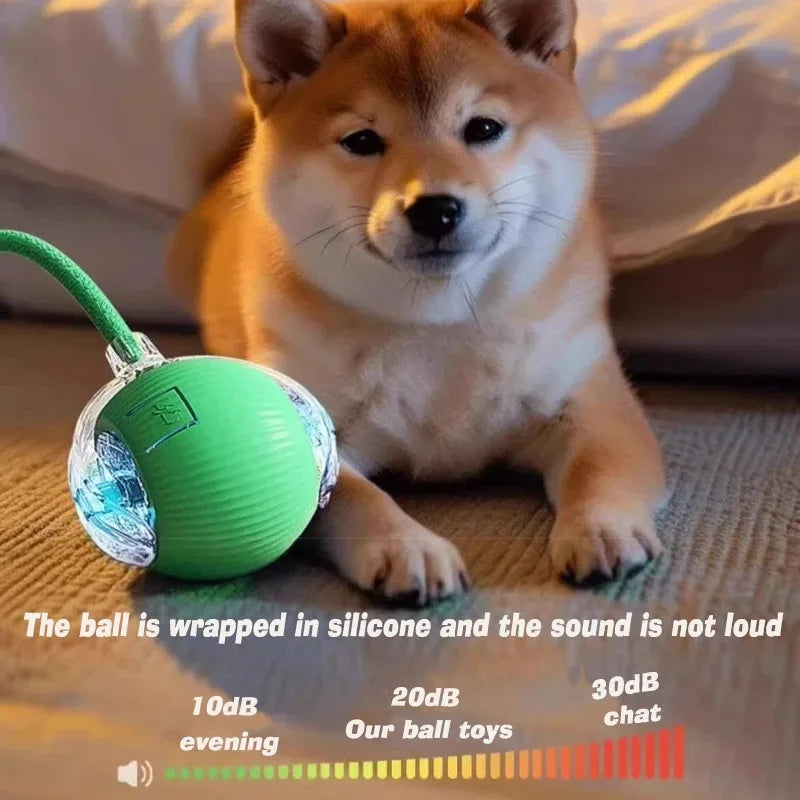 Synnyo – Smart Interactive Rolling Ball