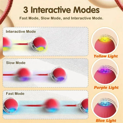 Synnyo – Smart Interactive Rolling Ball