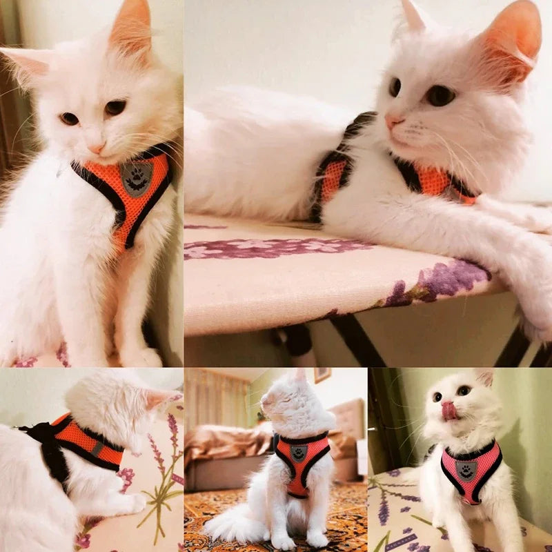 Breathable Reflective Harness & Leash Set