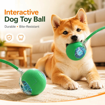 Synnyo – Smart Interactive Rolling Ball