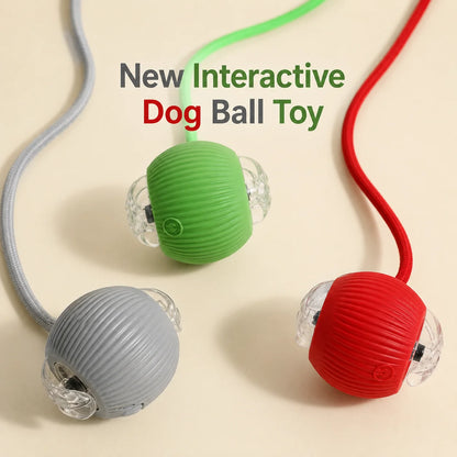 Synnyo – Smart Interactive Rolling Ball